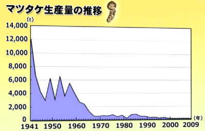 matsu2.jpg